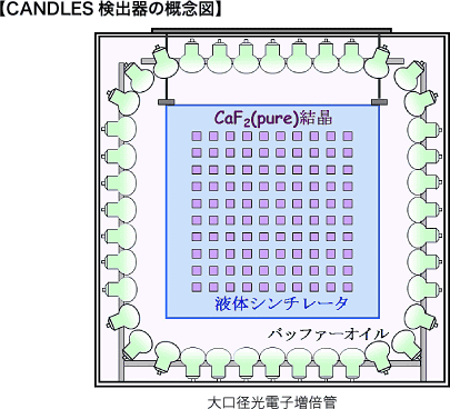 CANDLES検出器の概念図
